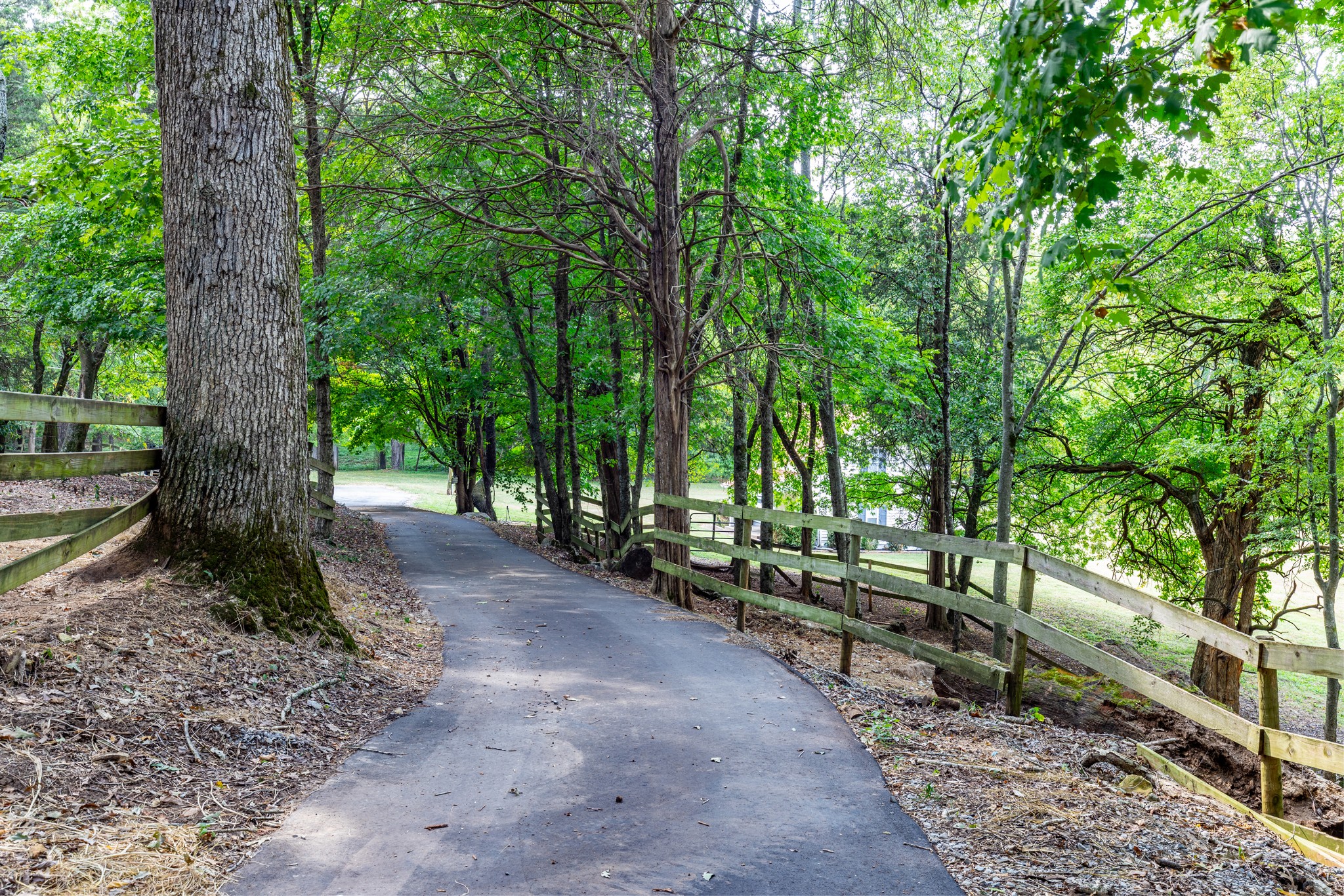 1502 New Deal Potts Road Portland, TN 37148 - Photo 15 of 72