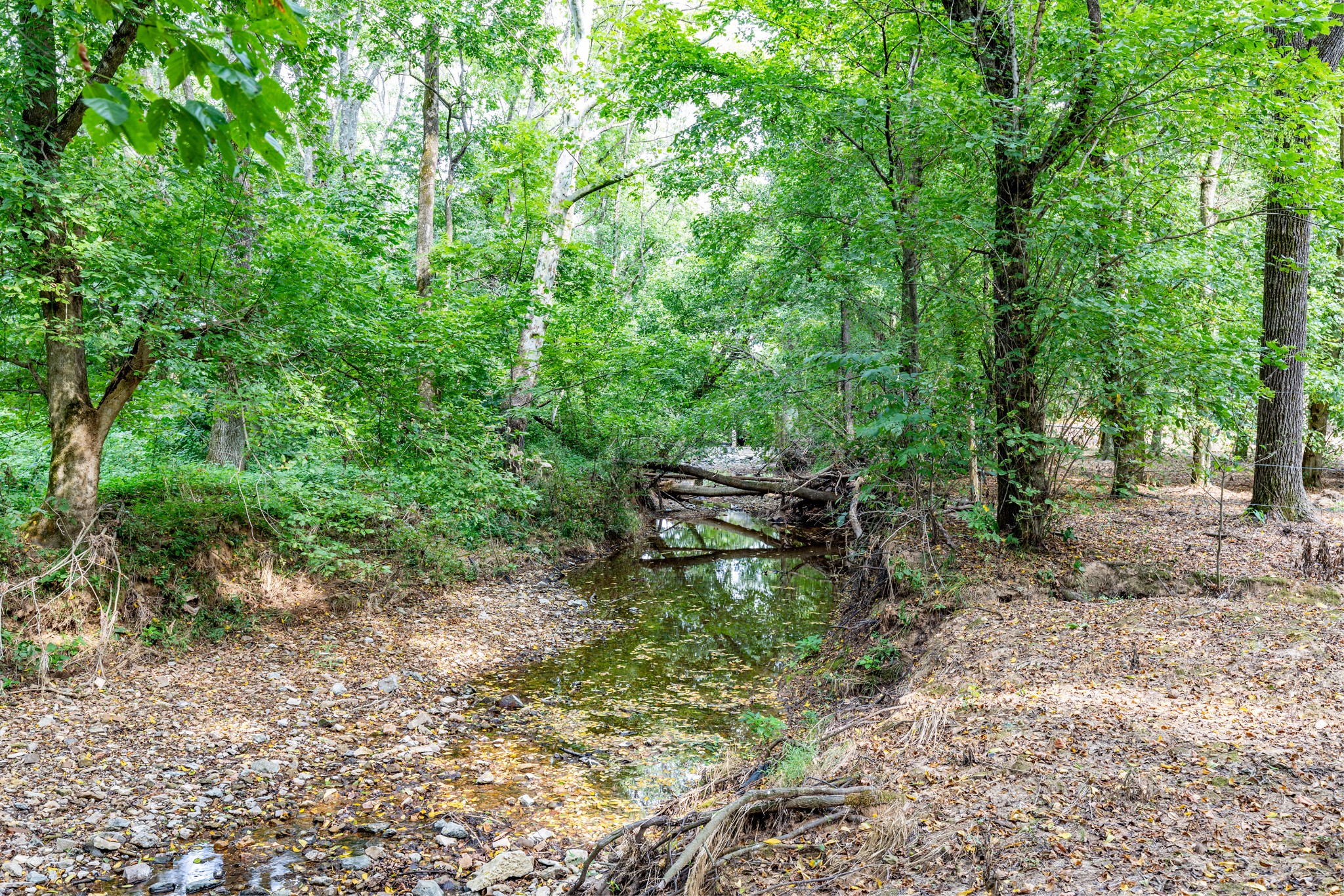 1502 New Deal Potts Road Portland, TN 37148 - Photo 39 of 72