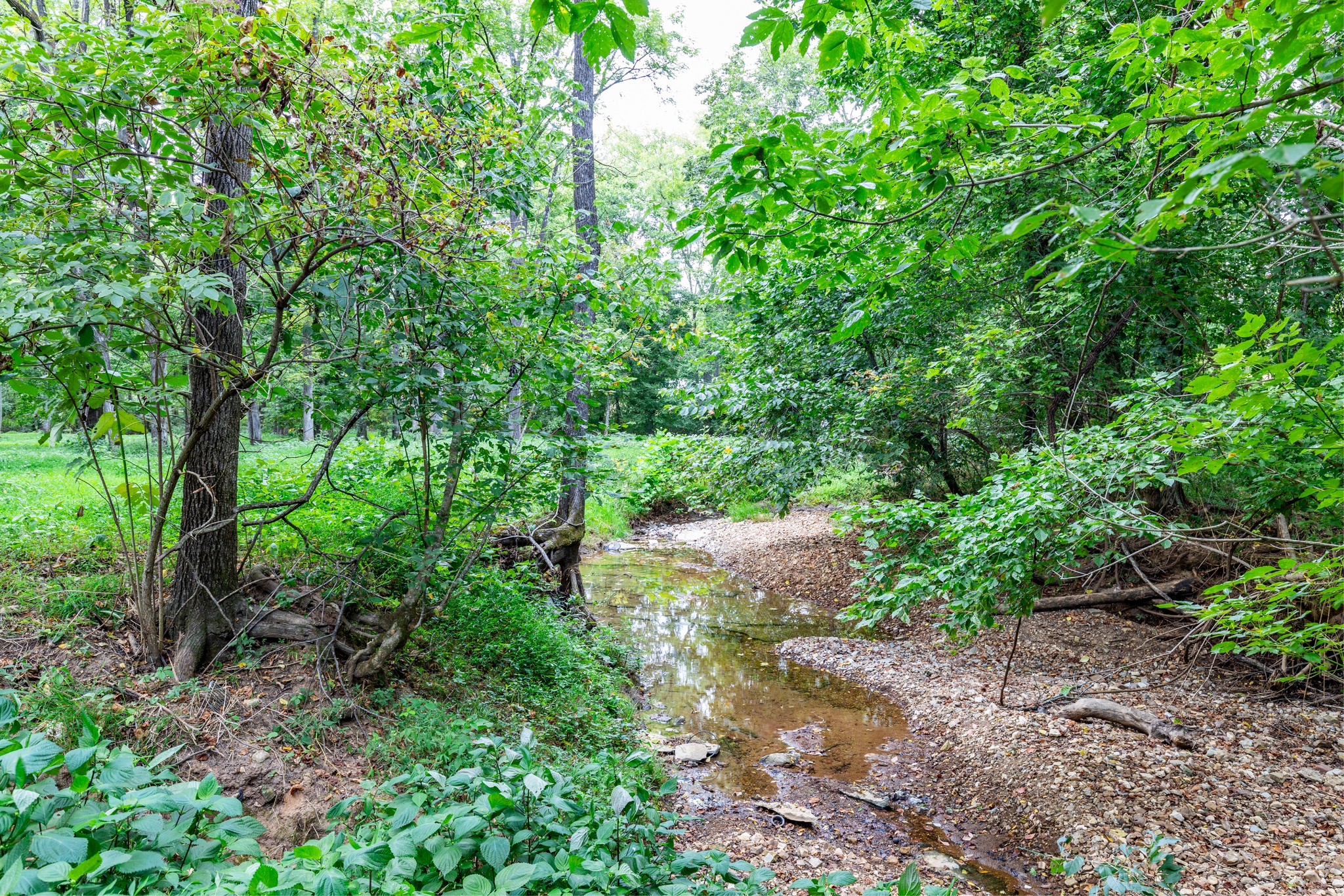 1502 New Deal Potts Road Portland, TN 37148 - Photo 42 of 72