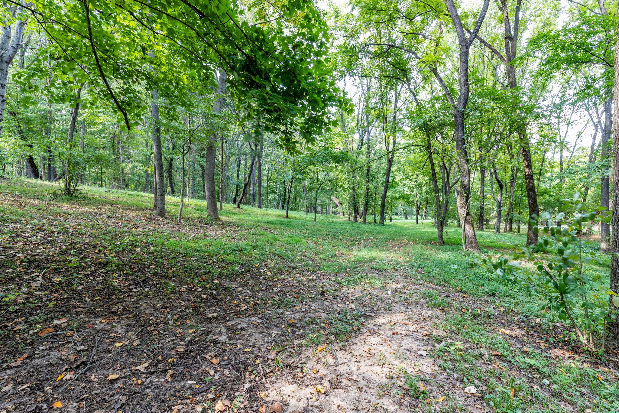 1502 New Deal Potts Road Portland, TN 37148 - Photo 43 of 72