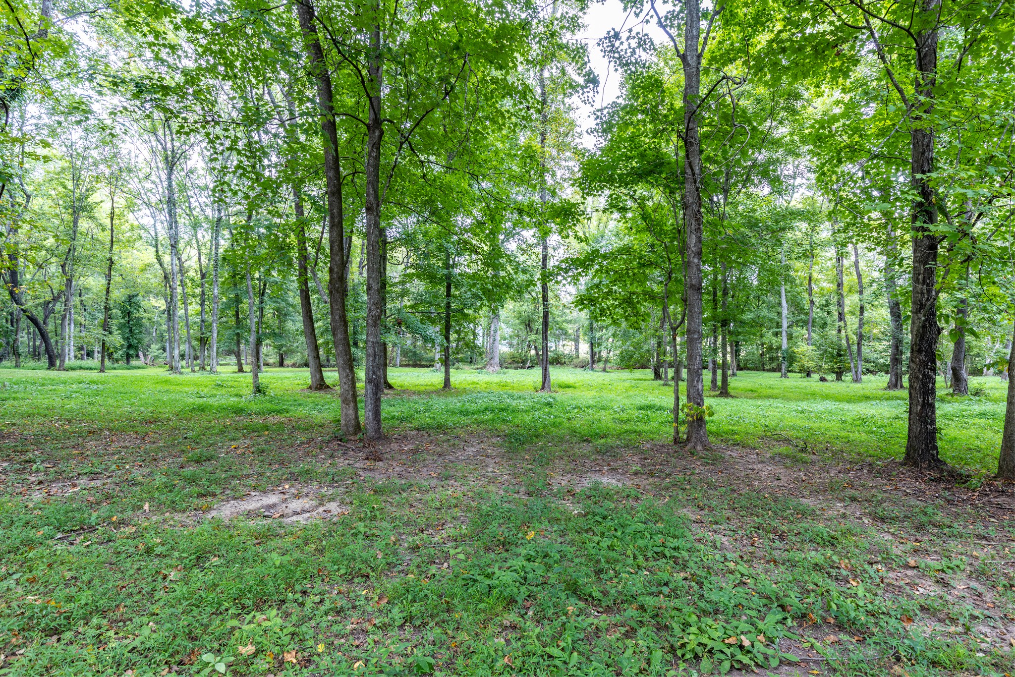 1502 New Deal Potts Road Portland, TN 37148 - Photo 44 of 72