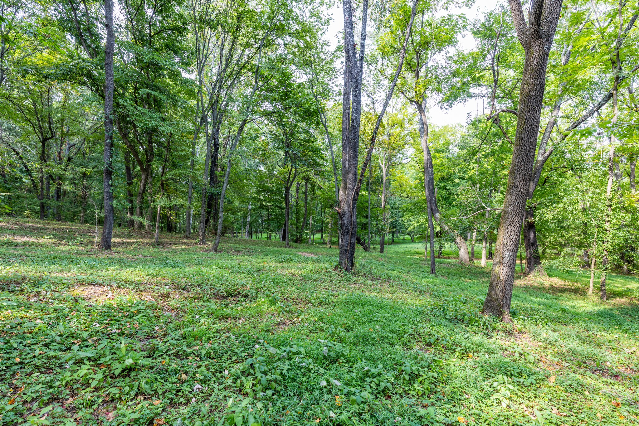 1502 New Deal Potts Road Portland, TN 37148 - Photo 47 of 72