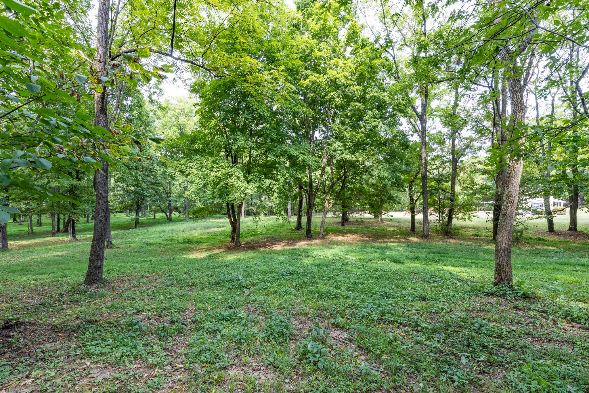 1502 New Deal Potts Road Portland, TN 37148 - Photo 49 of 72