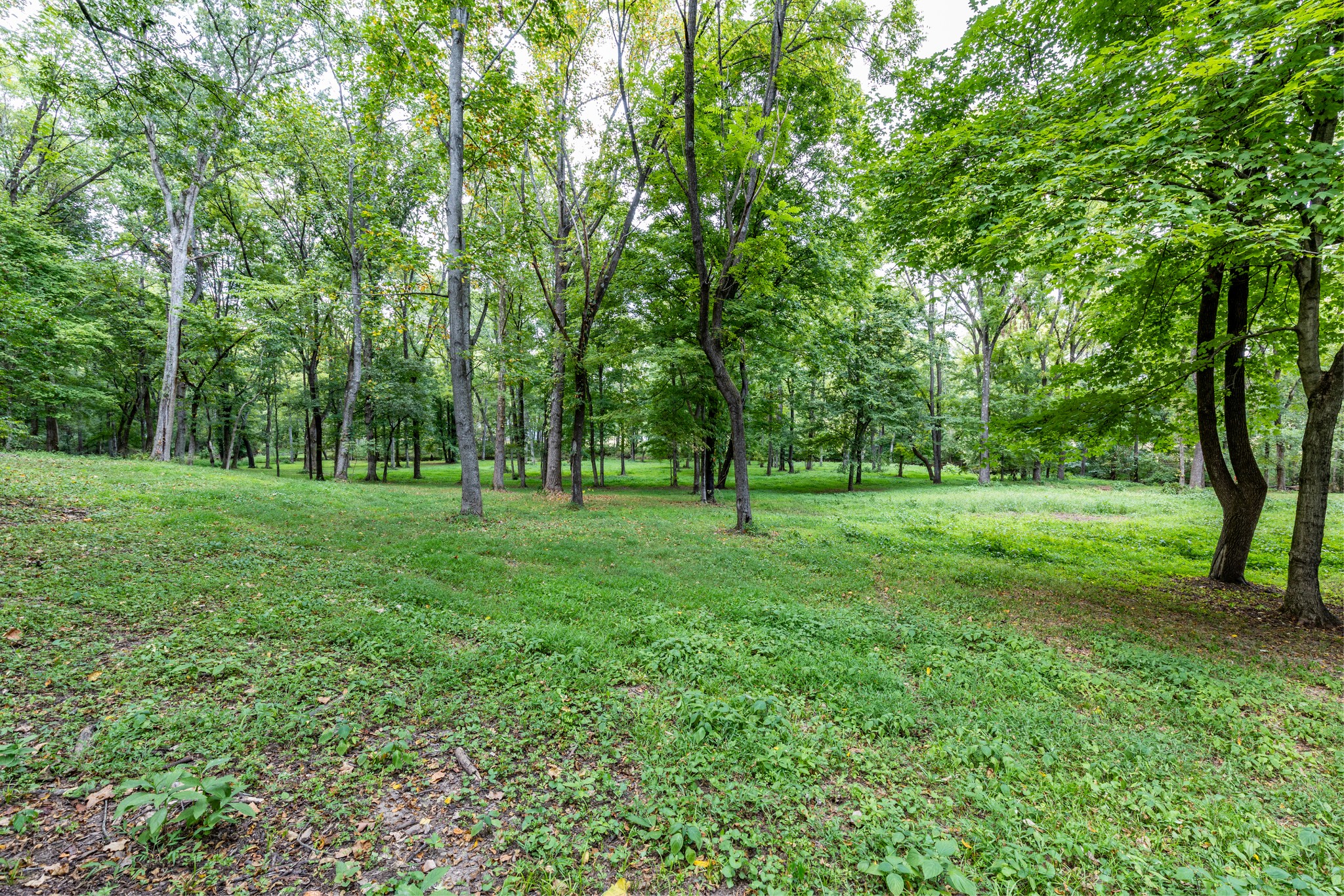 1502 New Deal Potts Road Portland, TN 37148 - Photo 50 of 72