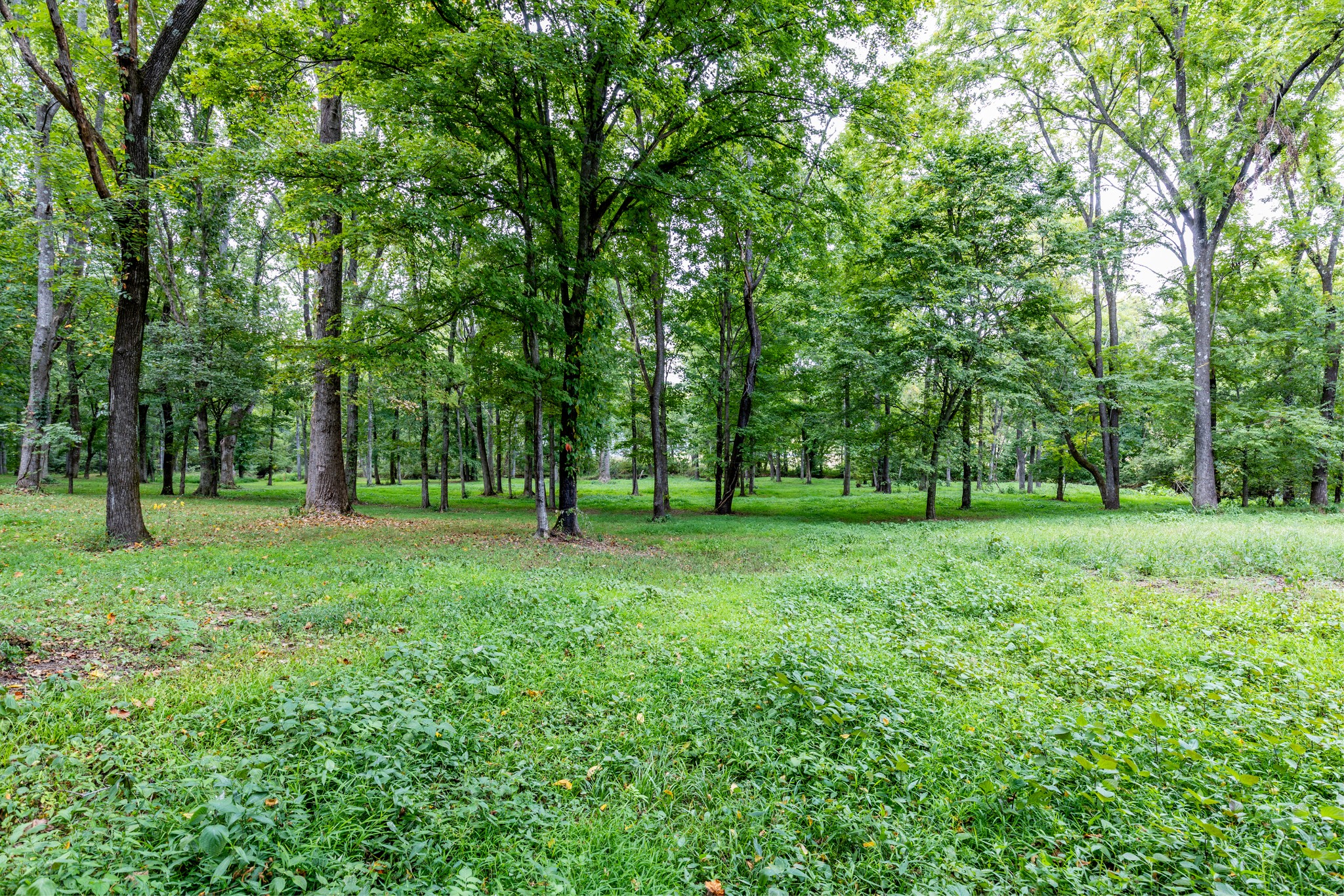 1502 New Deal Potts Road Portland, TN 37148 - Photo 51 of 72