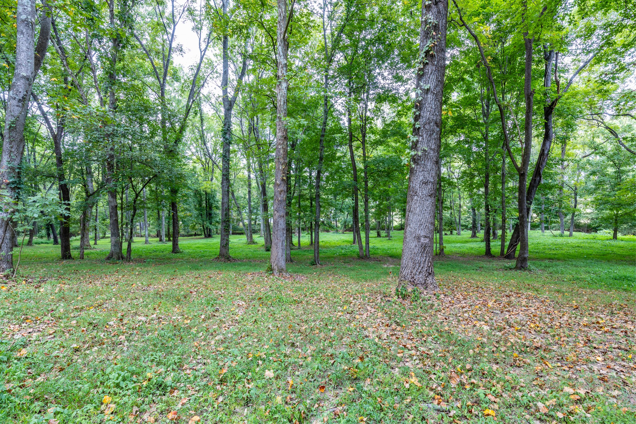 1502 New Deal Potts Road Portland, TN 37148 - Photo 52 of 72