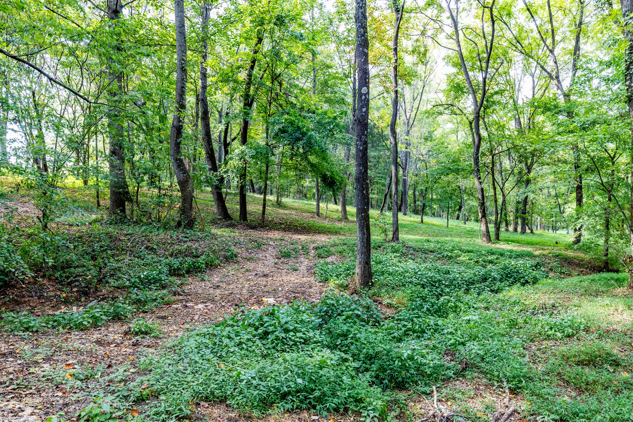 1502 New Deal Potts Road Portland, TN 37148 - Photo 53 of 72