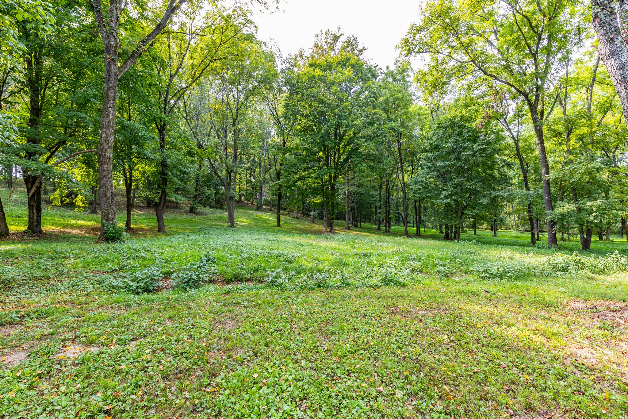 1502 New Deal Potts Road Portland, TN 37148 - Photo 54 of 72