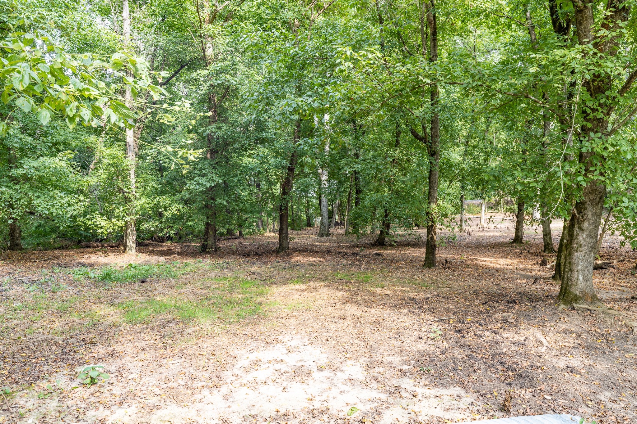 1502 New Deal Potts Road Portland, TN 37148 - Photo 56 of 72