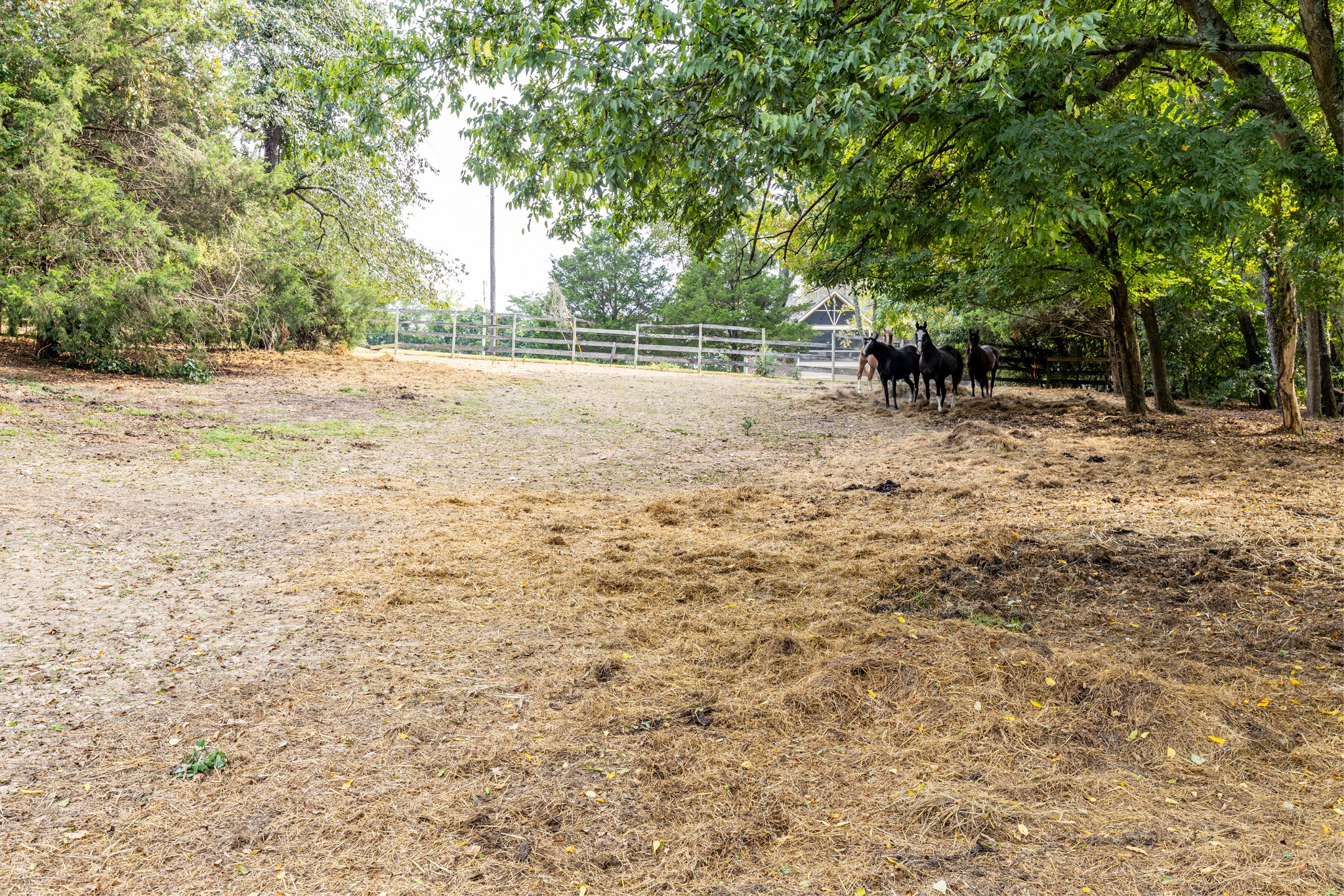 1502 New Deal Potts Road Portland, TN 37148 - Photo 58 of 72