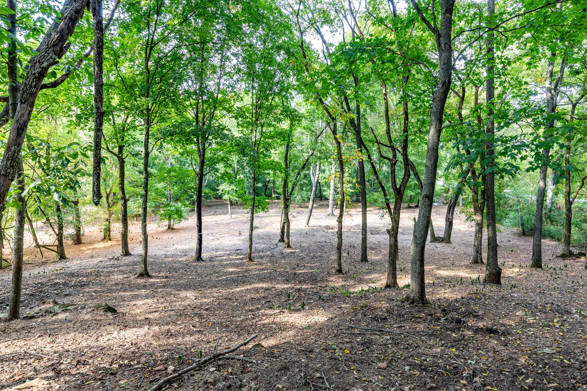 1502 New Deal Potts Road Portland, TN 37148 - Photo 59 of 72