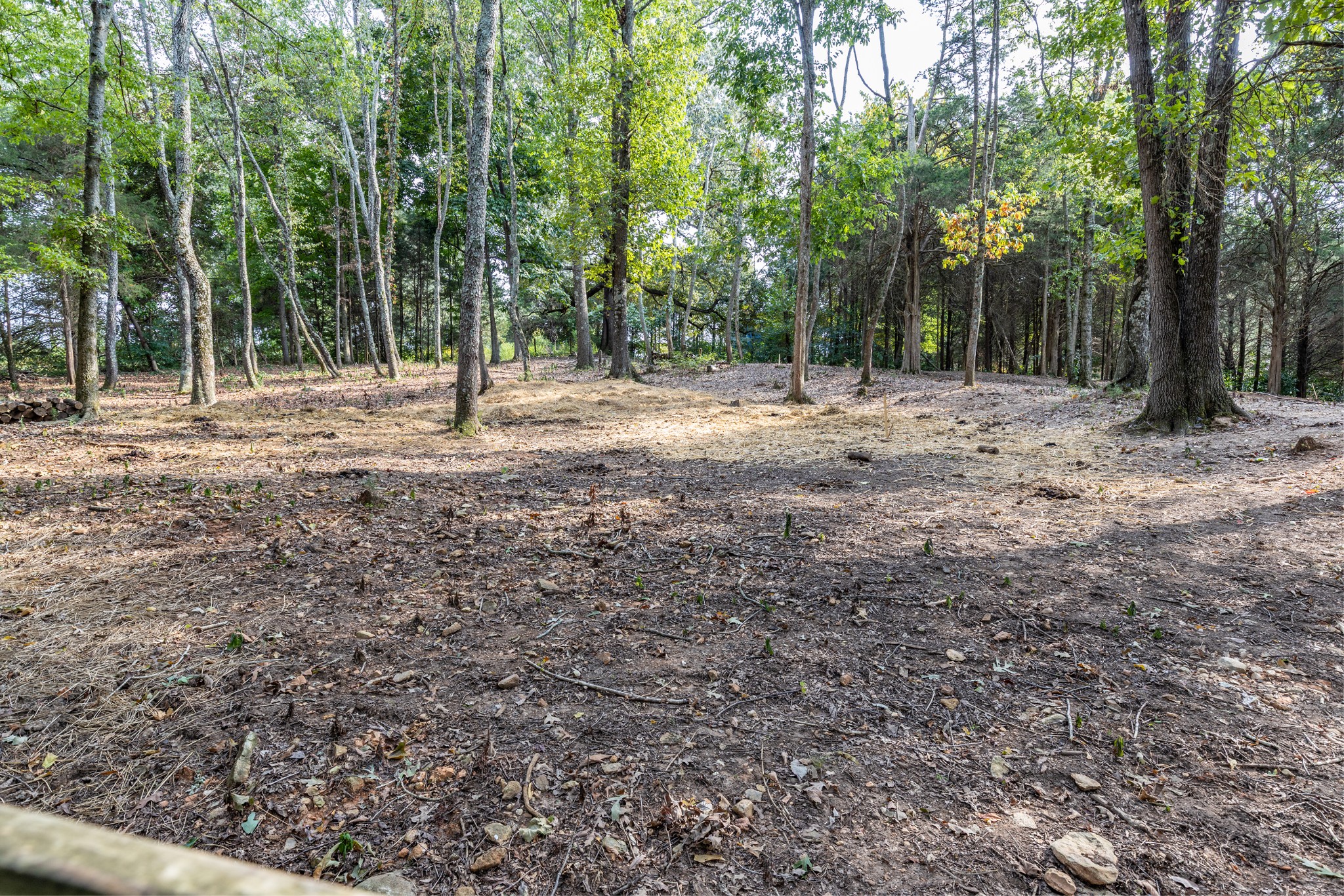 1502 New Deal Potts Road Portland, TN 37148 - Photo 60 of 72