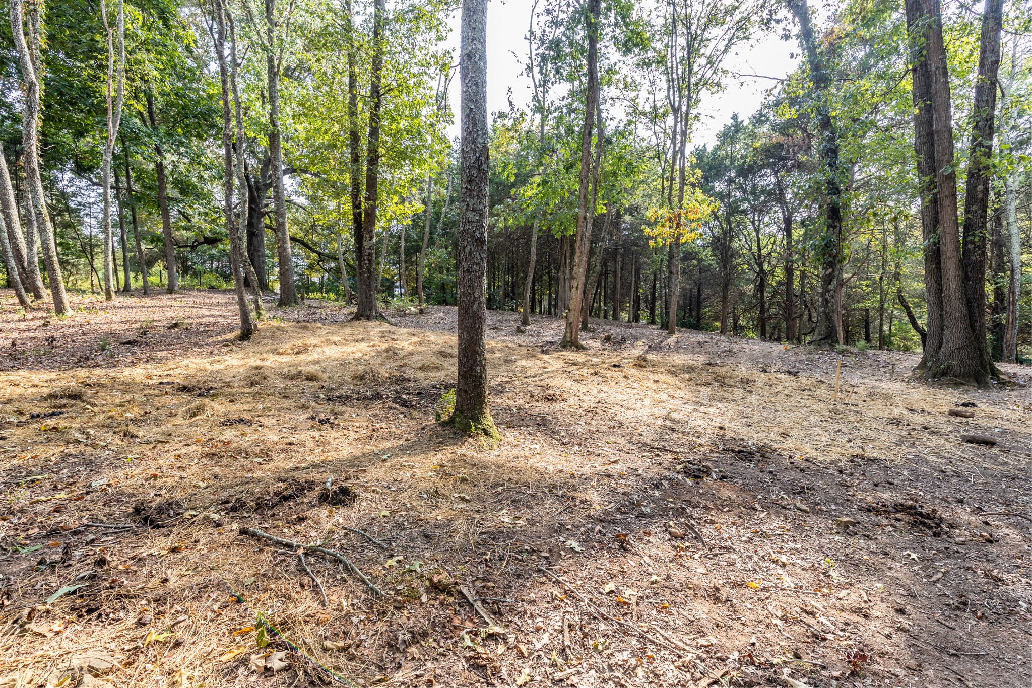 1502 New Deal Potts Road Portland, TN 37148 - Photo 62 of 72