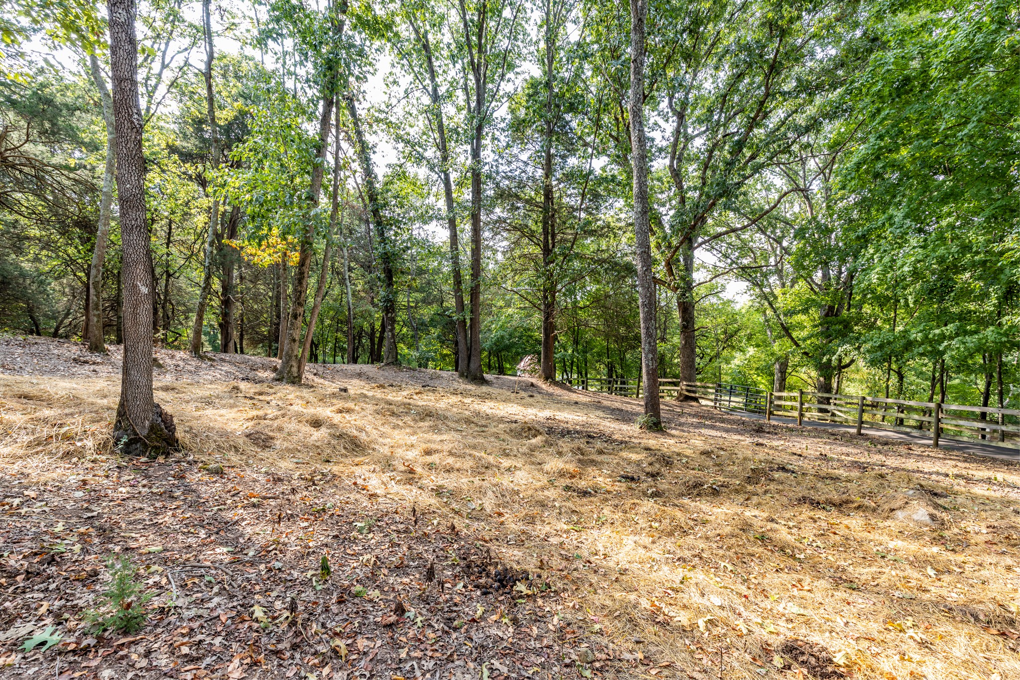 1502 New Deal Potts Road Portland, TN 37148 - Photo 63 of 72