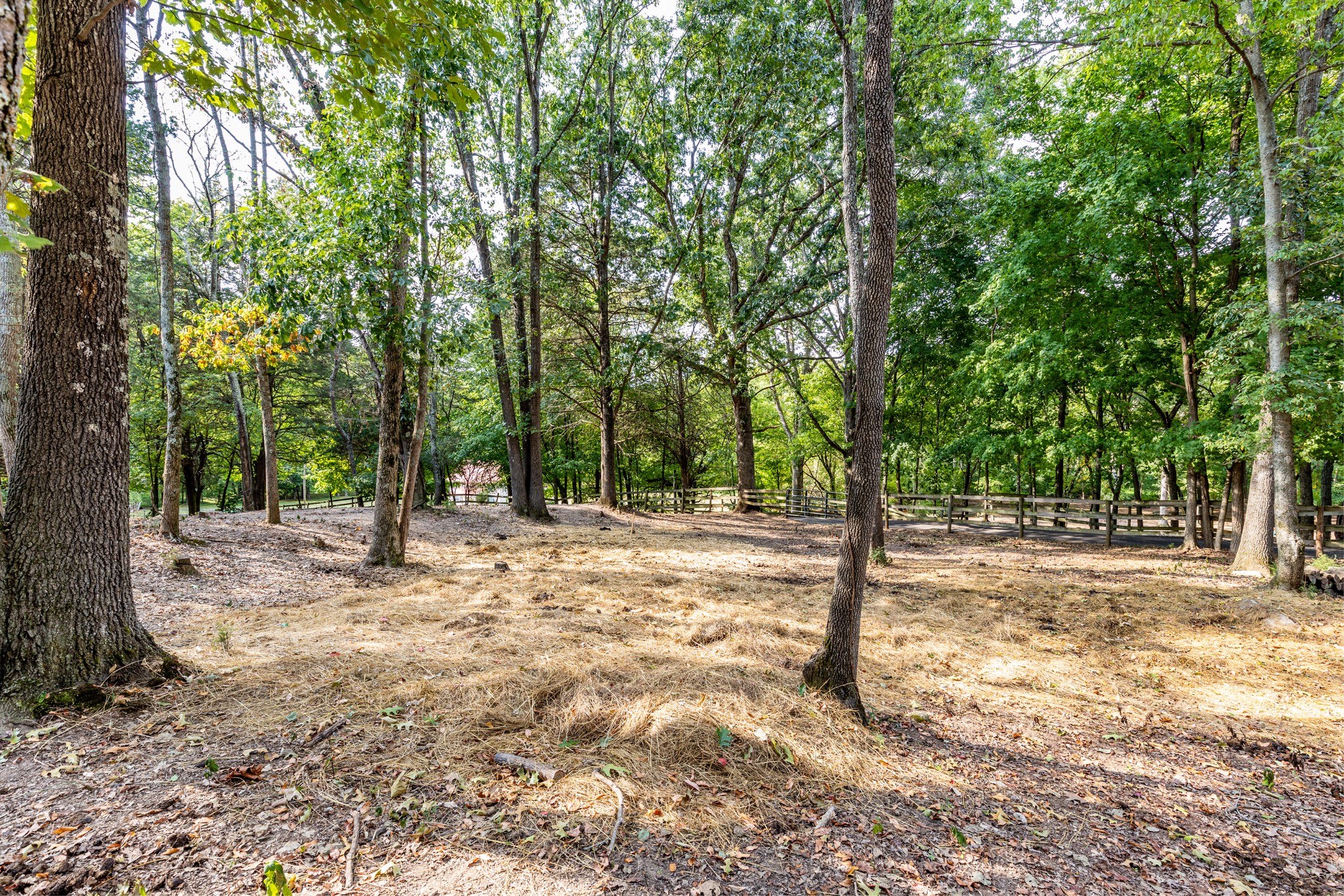 1502 New Deal Potts Road Portland, TN 37148 - Photo 64 of 72