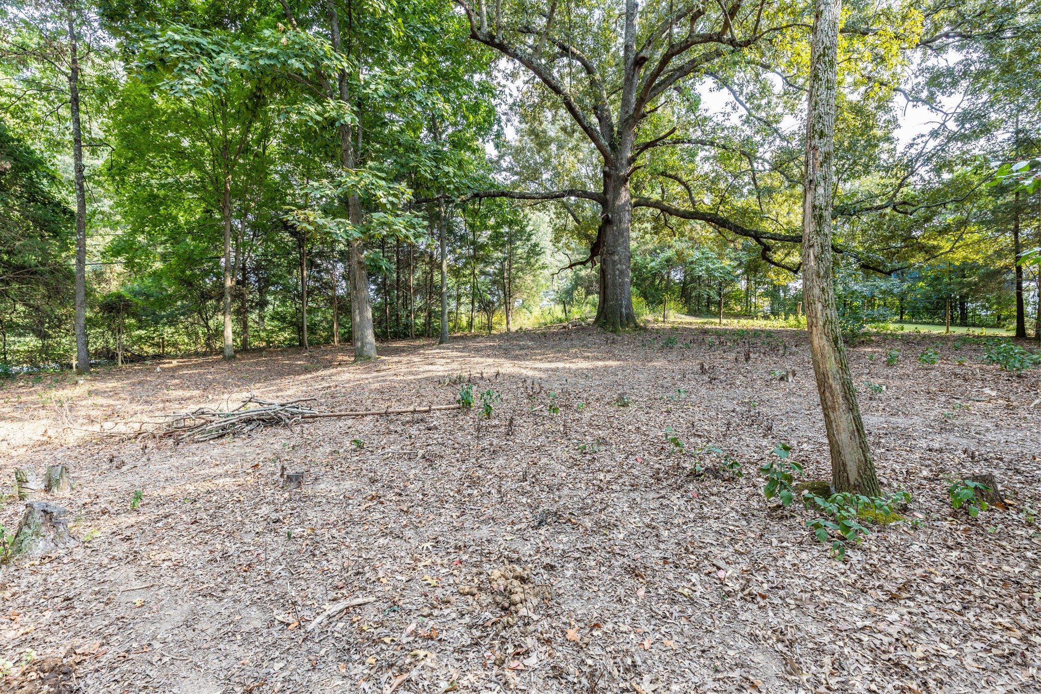 1502 New Deal Potts Road Portland, TN 37148 - Photo 66 of 72