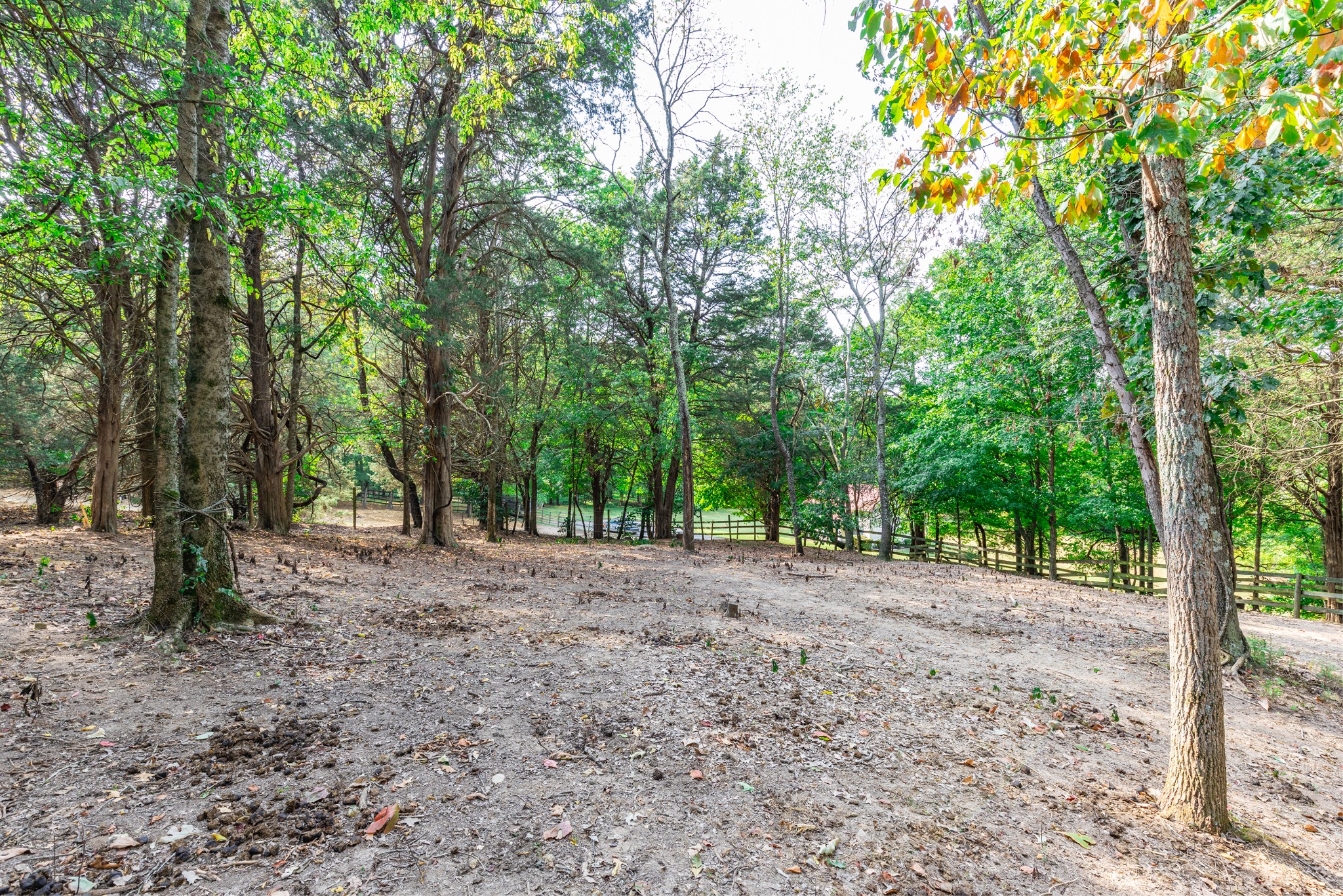 1502 New Deal Potts Road Portland, TN 37148 - Photo 68 of 72