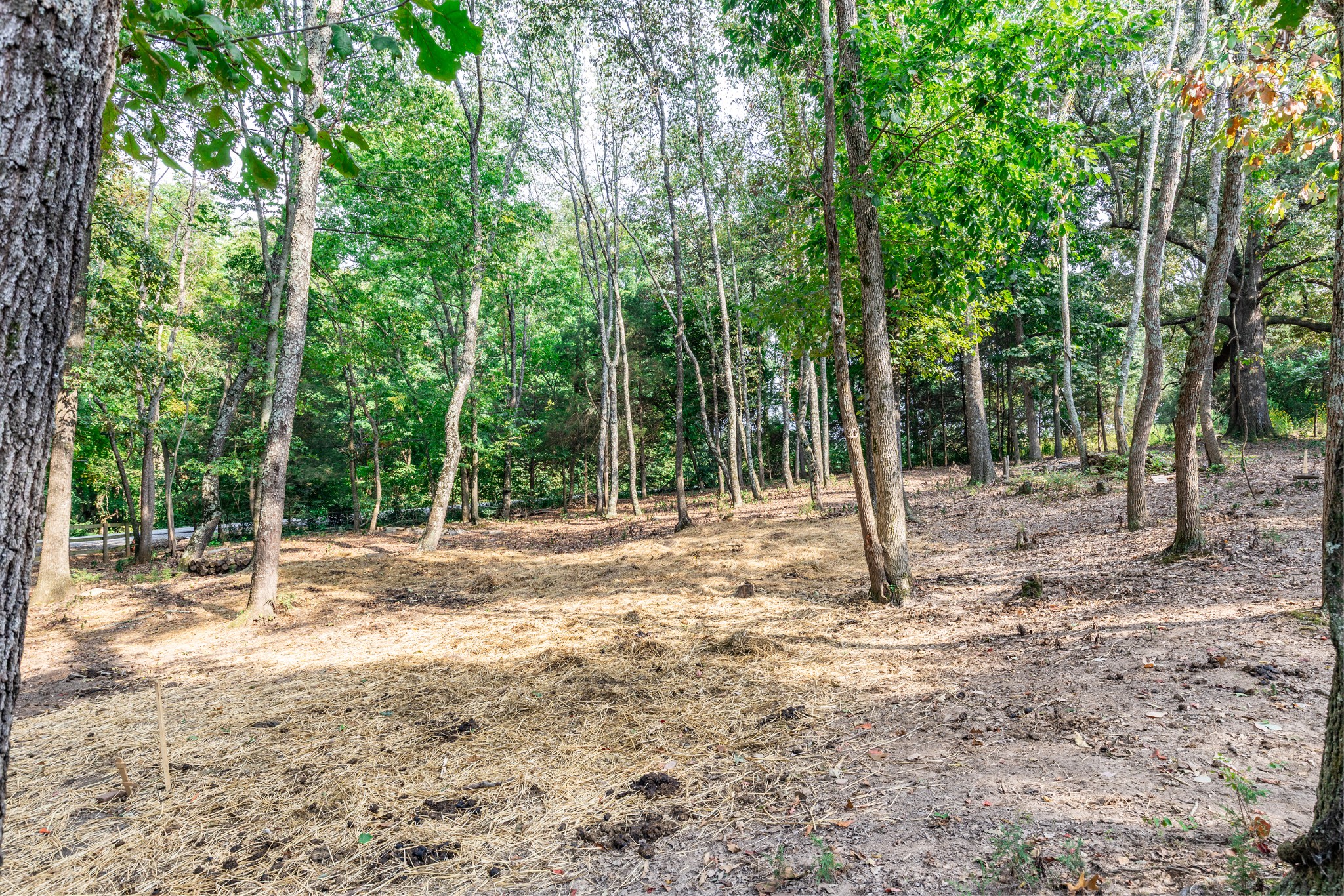 1502 New Deal Potts Road Portland, TN 37148 - Photo 69 of 72