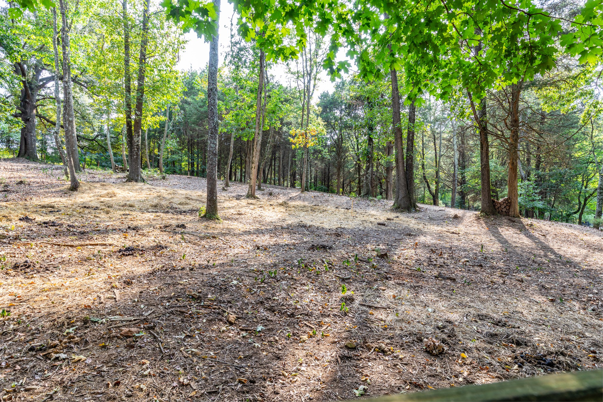 1502 New Deal Potts Road Portland, TN 37148 - Photo 71 of 72