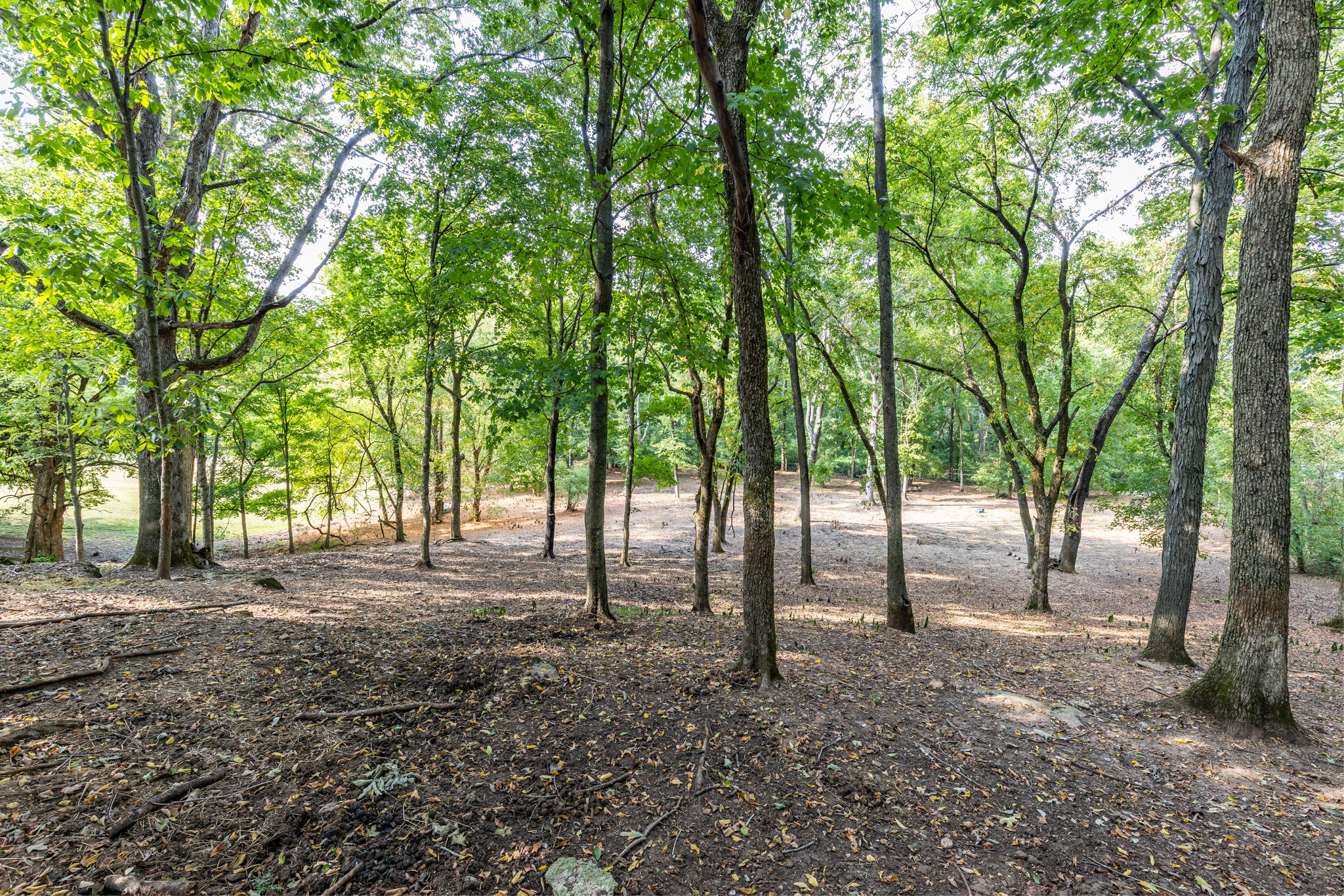 1502 New Deal Potts Road Portland, TN 37148 - Photo 72 of 72