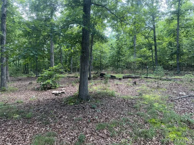 $229,500 | 17672 Hwy C, Annapolis, MO 63620