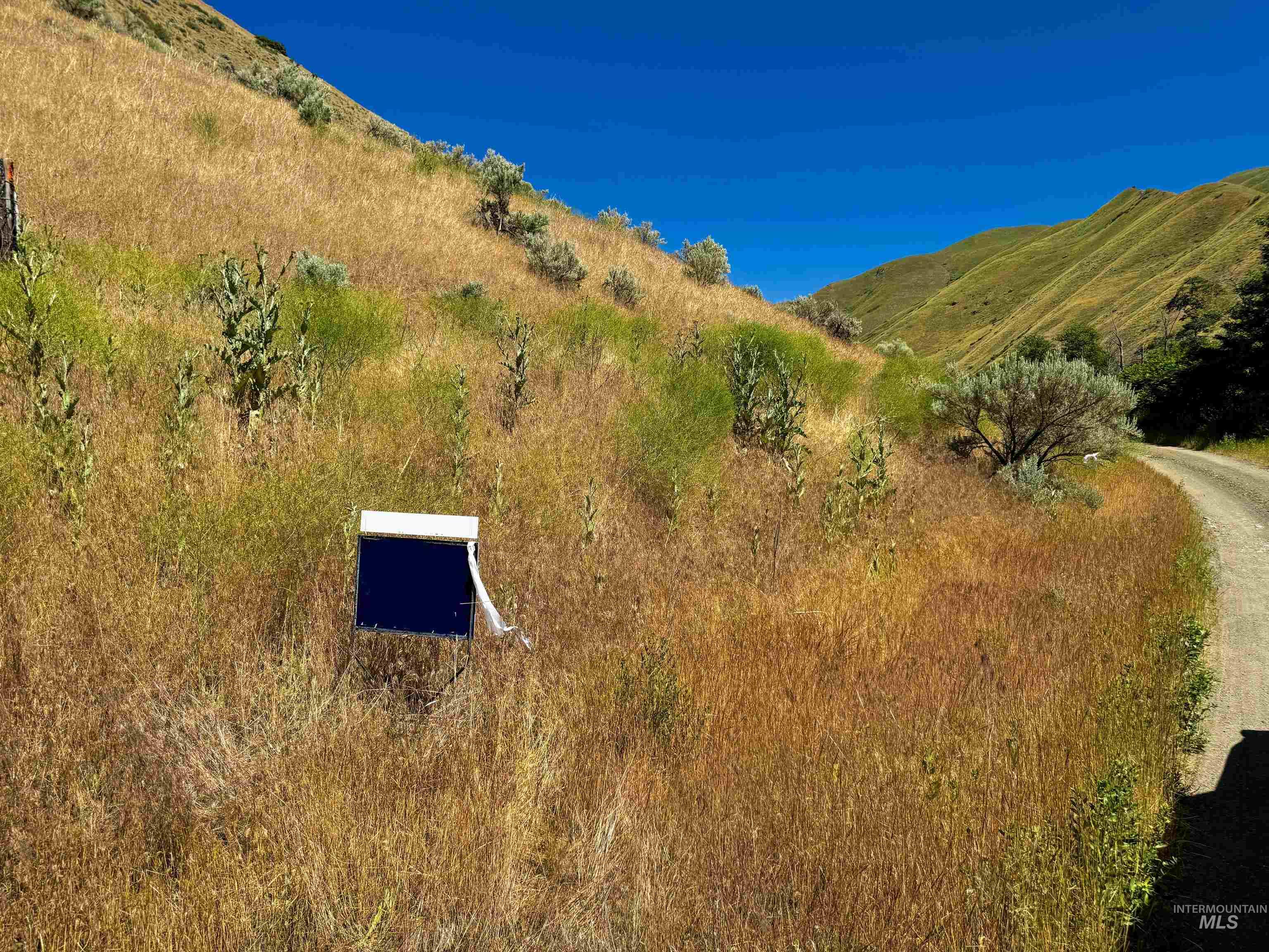 Lot 2-parcel Dennett Creek Road Weiser, ID 83672 - Photo 4 of 10