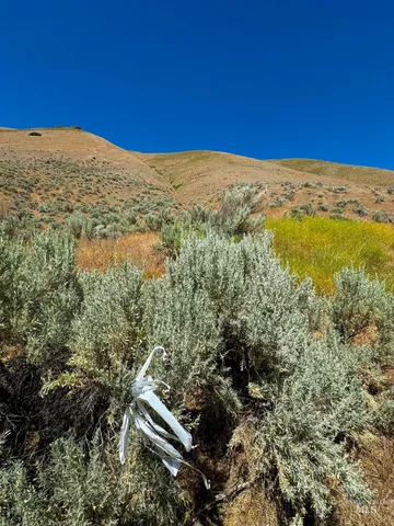 $75,000 | Lot 2-parcel Dennett Creek Road, Weiser, ID 83672