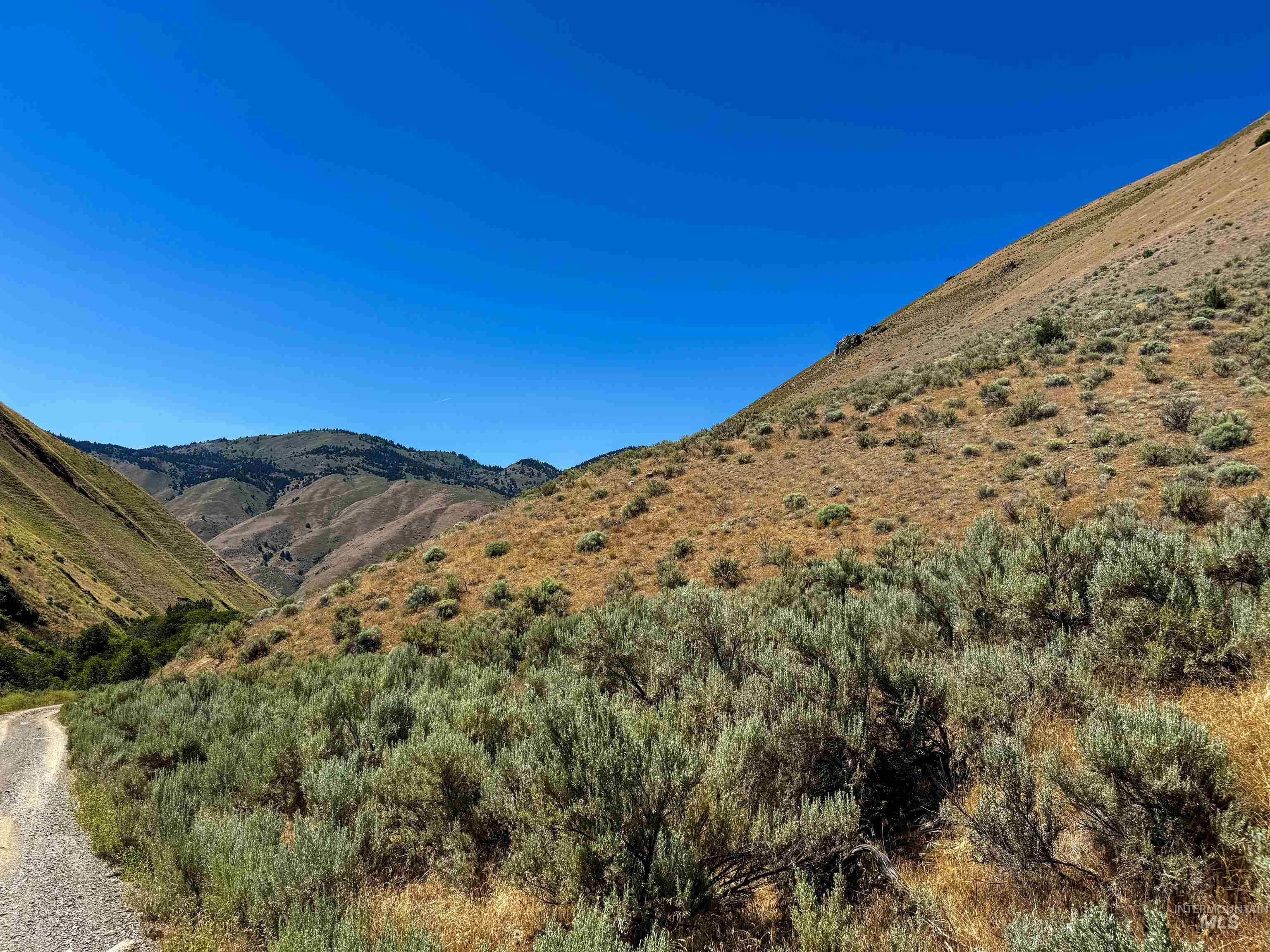 Lot 2-parcel Dennett Creek Road Weiser, ID 83672 - Photo 6 of 10