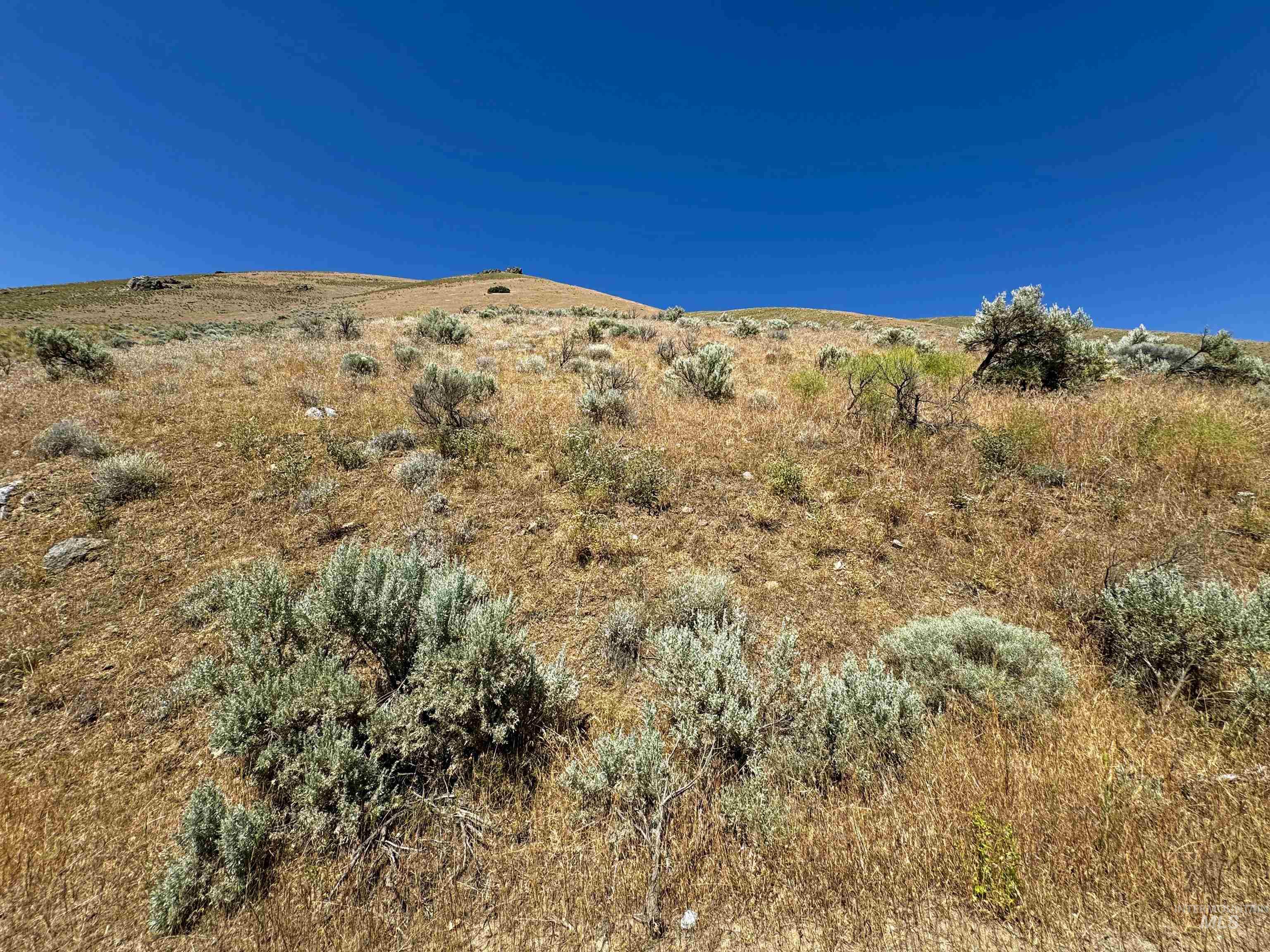 Lot 2-parcel Dennett Creek Road Weiser, ID 83672 - Photo 9 of 10