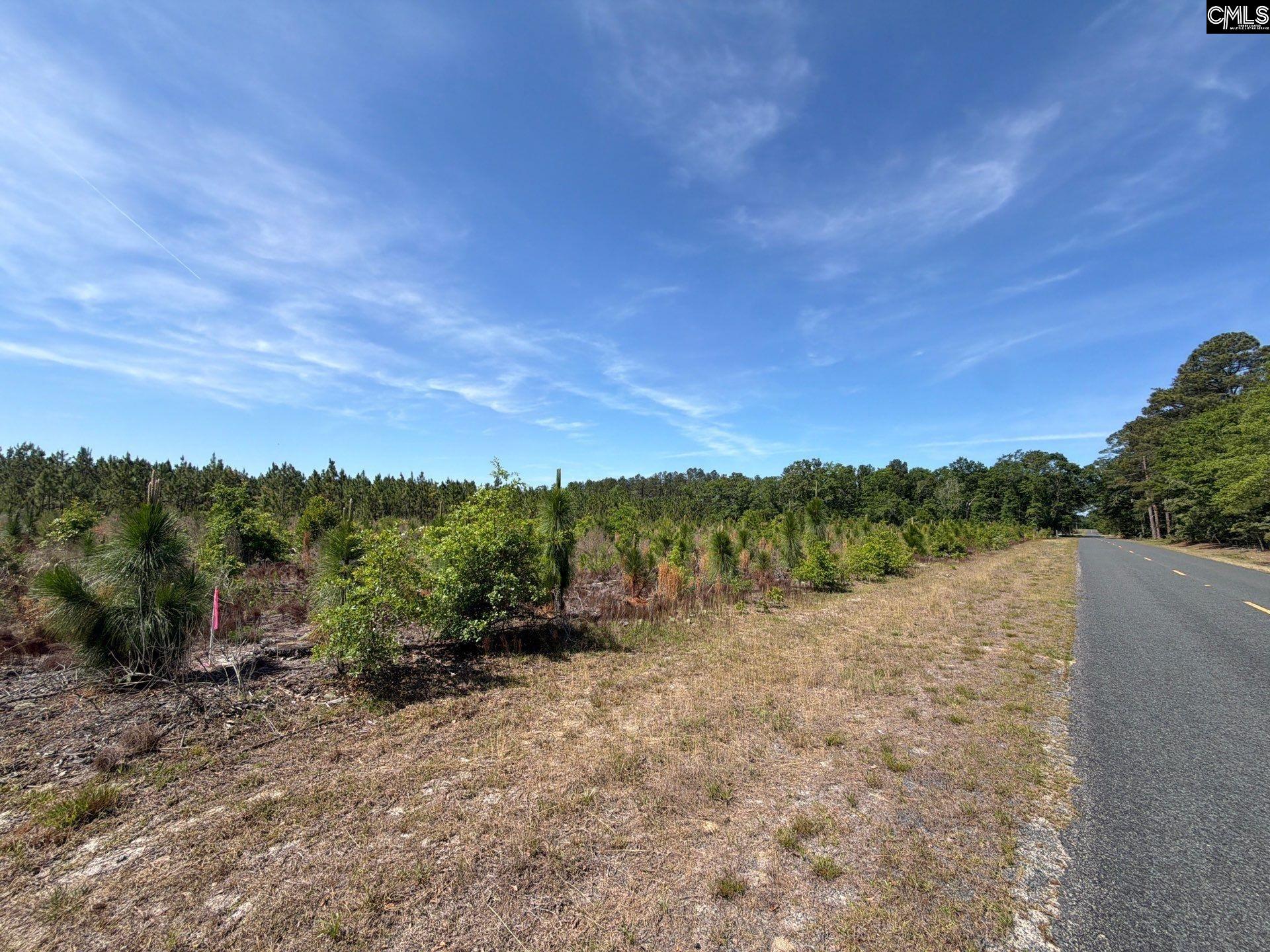2 Holstein Road Monetta, SC 29105 - Photo 14 of 14