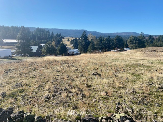 4 Highline Loop Cle Elum, WA 98922 - Photo 1 of 5 Gallery Image 1