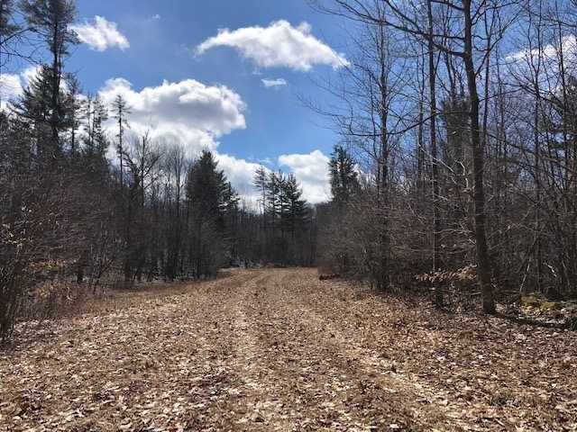 0 North Road, Unit 3 & 4 Dorset, VT 05251 - Photo 1 of 2 Gallery Image 1
