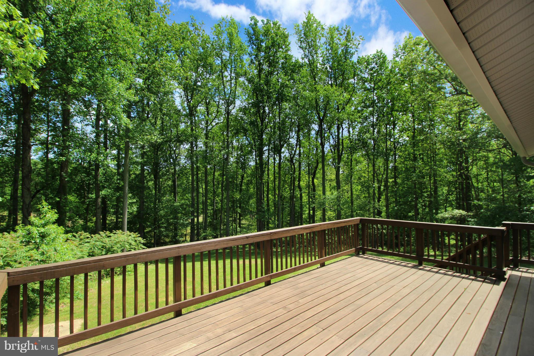 10577 Bears Den Road Marshall, VA 20115 - Photo 6 of 24 Exterior (Rear)
