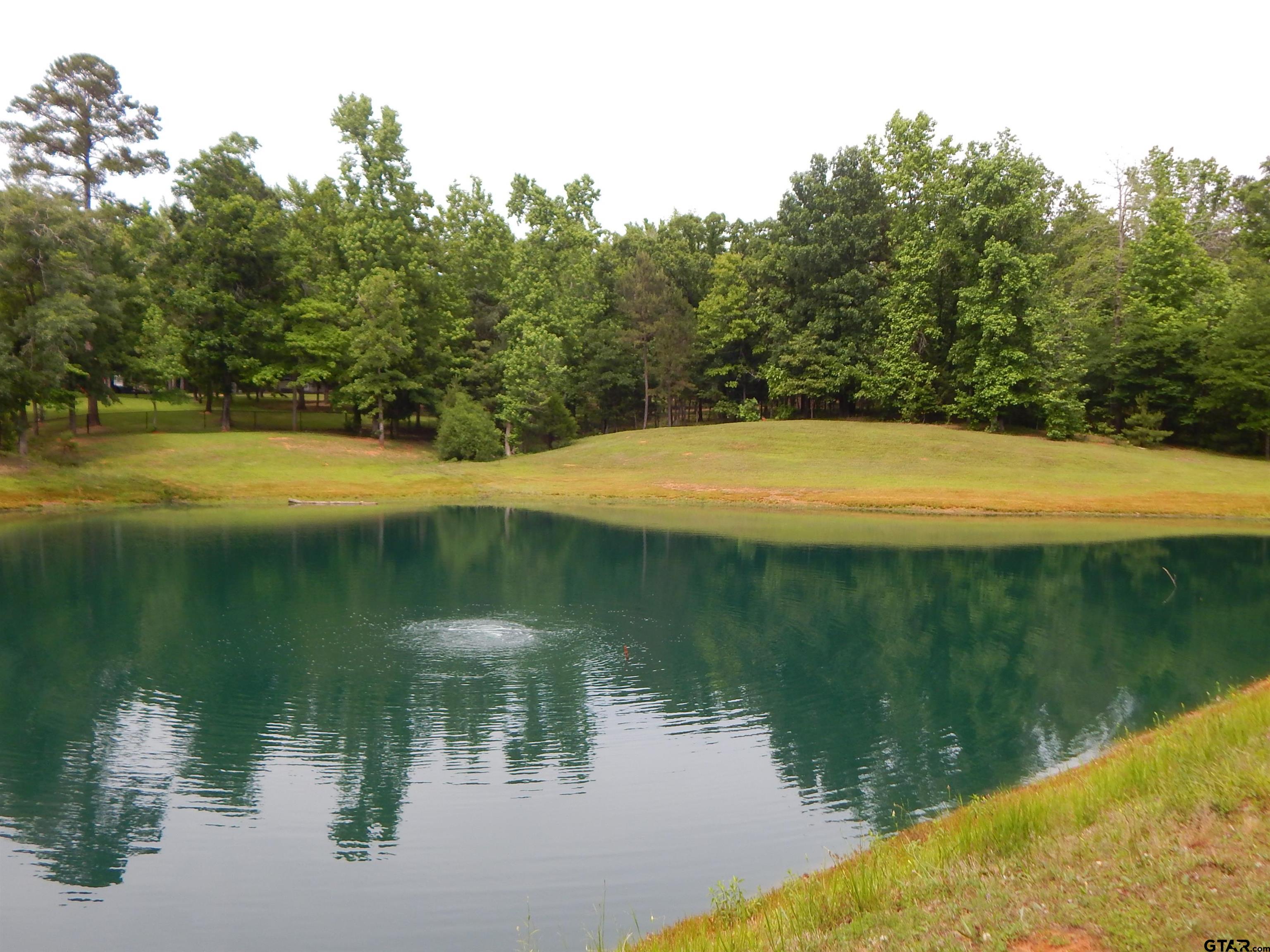 1106 Tall Timbers Road Gilmer, TX 75645 - Photo 6 of 28