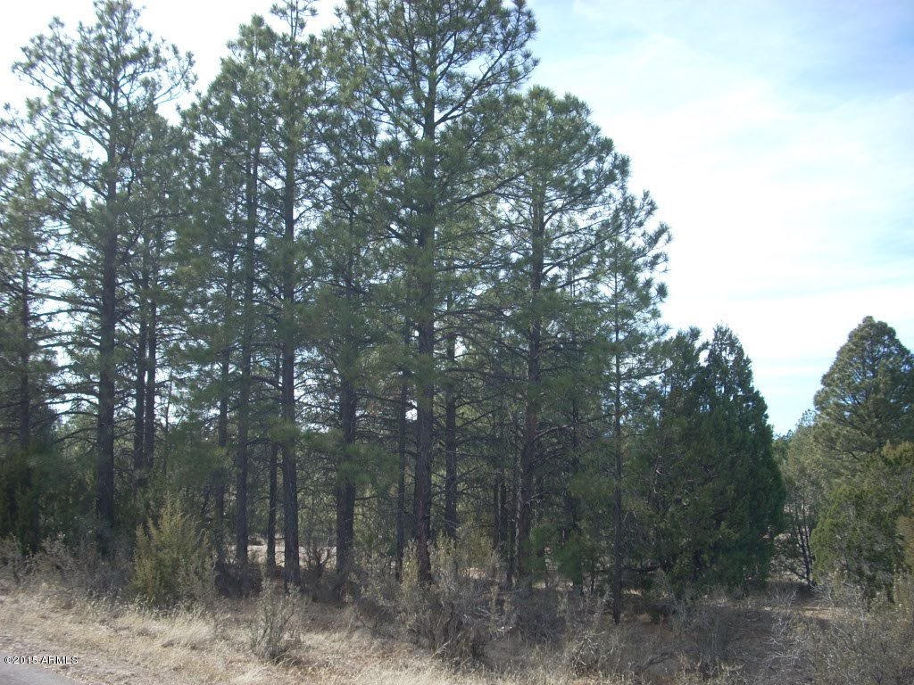 2938 Ransack Road, Unit 198 Overgaard, AZ 85933 - Photo 3 of 13 DSCN7802