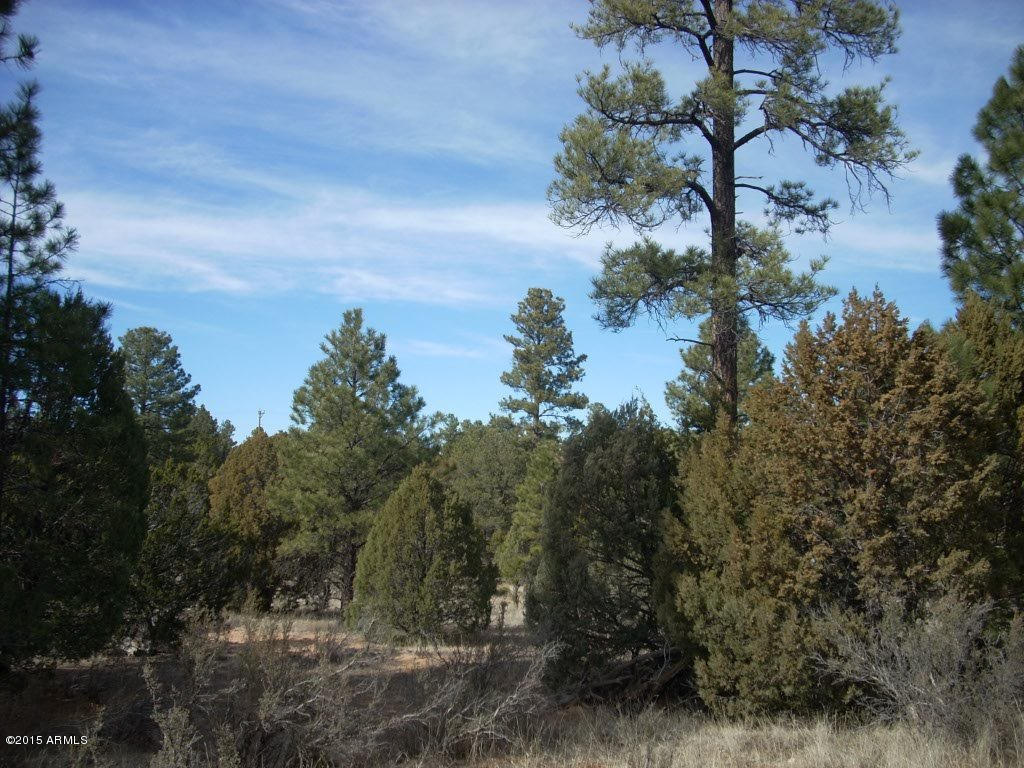 2938 Ransack Road, Unit 198 Overgaard, AZ 85933 - Photo 4 of 13 DSCN7803