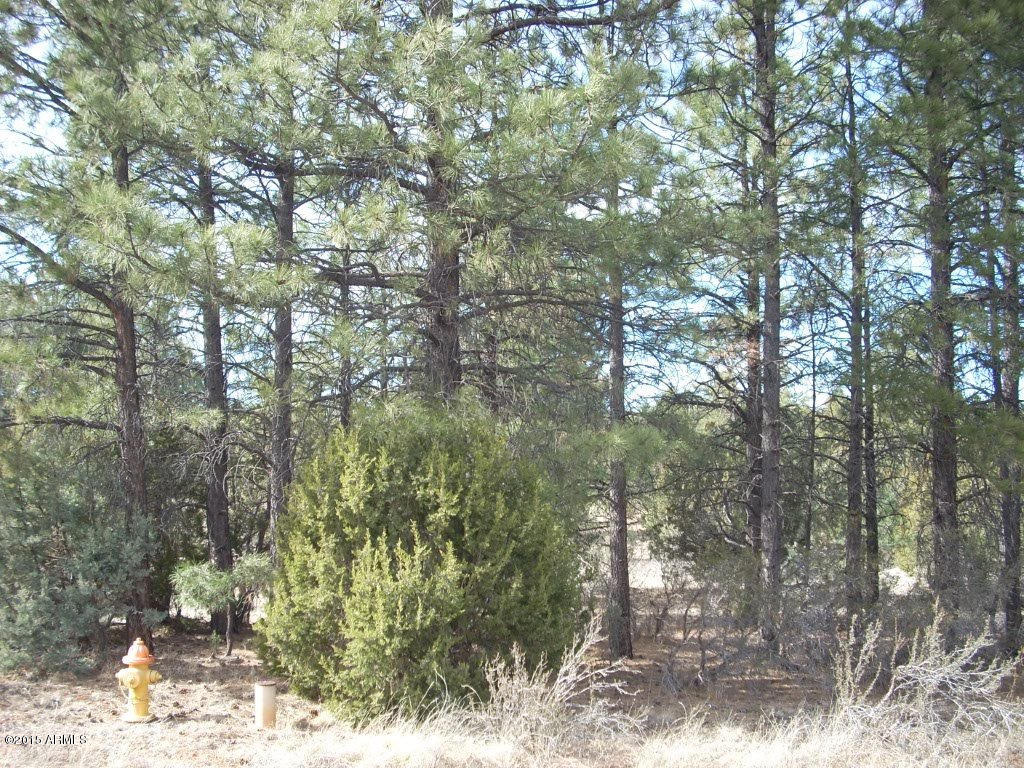 2938 Ransack Road, Unit 198 Overgaard, AZ 85933 - Photo 6 of 13 DSCN7805