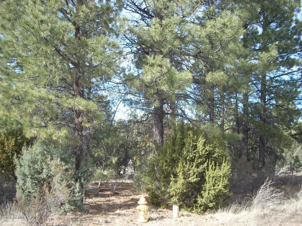 2938 Ransack Road, Unit 198 Overgaard, AZ 85933 - Photo 7 of 13 DSCN7806