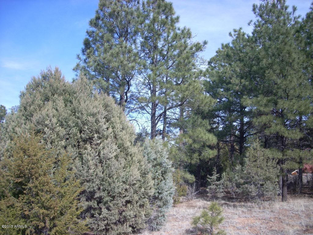 2938 Ransack Road, Unit 198 Overgaard, AZ 85933 - Photo 10 of 13 DSCN7809