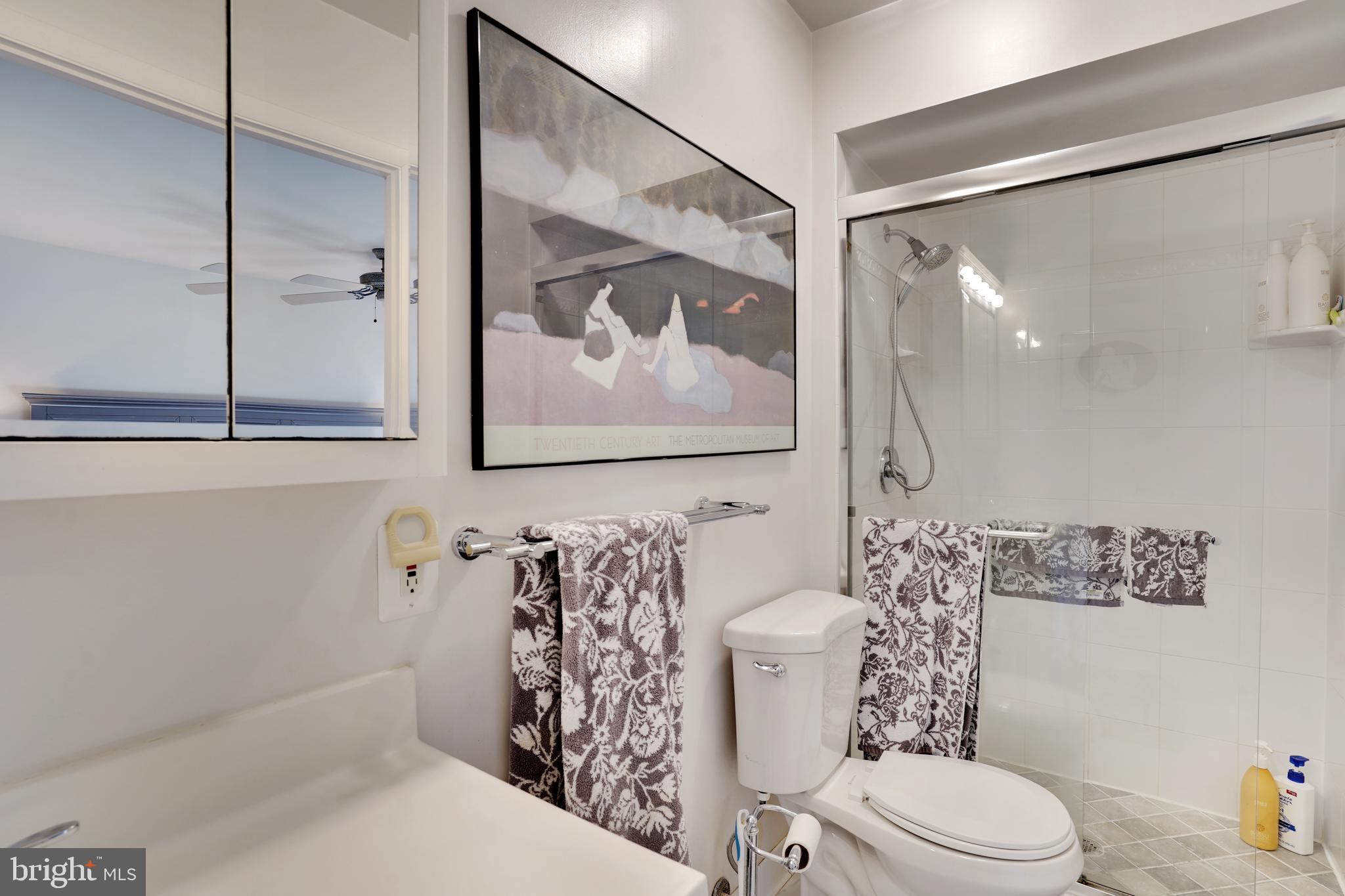11828 Blue Spruce Road Reston, VA 20191 - Photo 25 of 45 Updated Principal Bedroom Bath