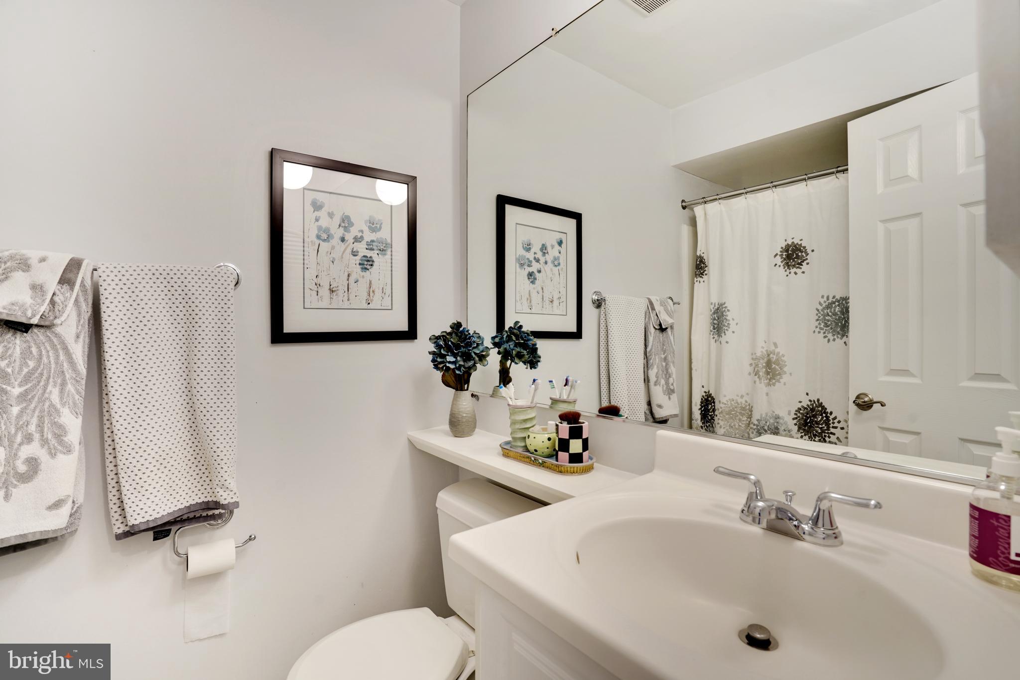 11828 Blue Spruce Road Reston, VA 20191 - Photo 29 of 45 Upper Level Social Bath