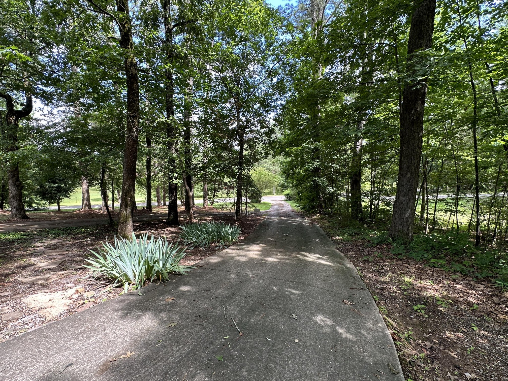 606 Morgan Road Charleston, TN 37310 - Photo 4 of 53 a view of a tree in the middle of a yard