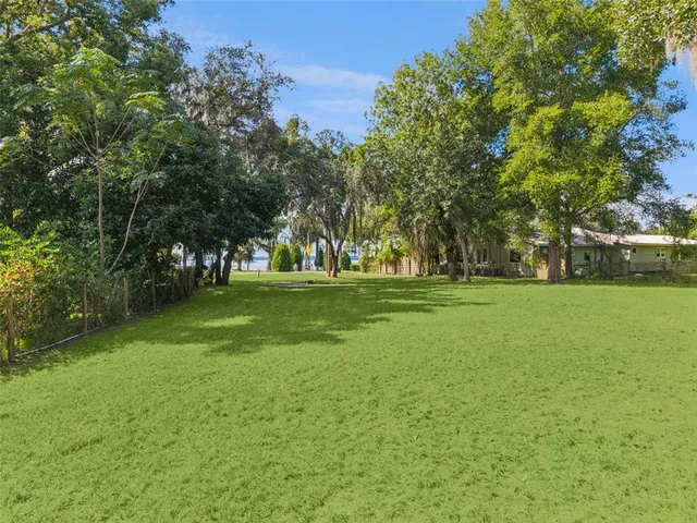 a view of a yard with potted plants