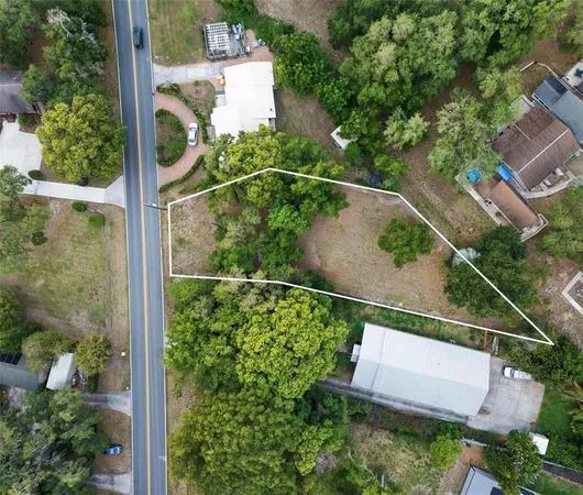 an aerial view of a house with a yard and large trees