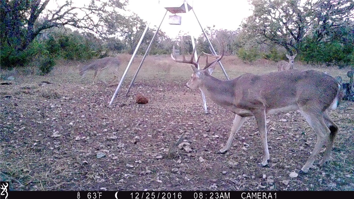 0 6864 County Road Burnet, TX 78611 - Photo 1 of 1