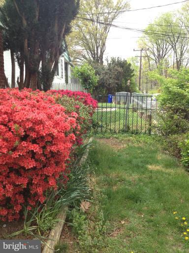 8311 Piney Branch Road Silver Spring, MD 20910 - Photo 14 of 23 a garden view with a space