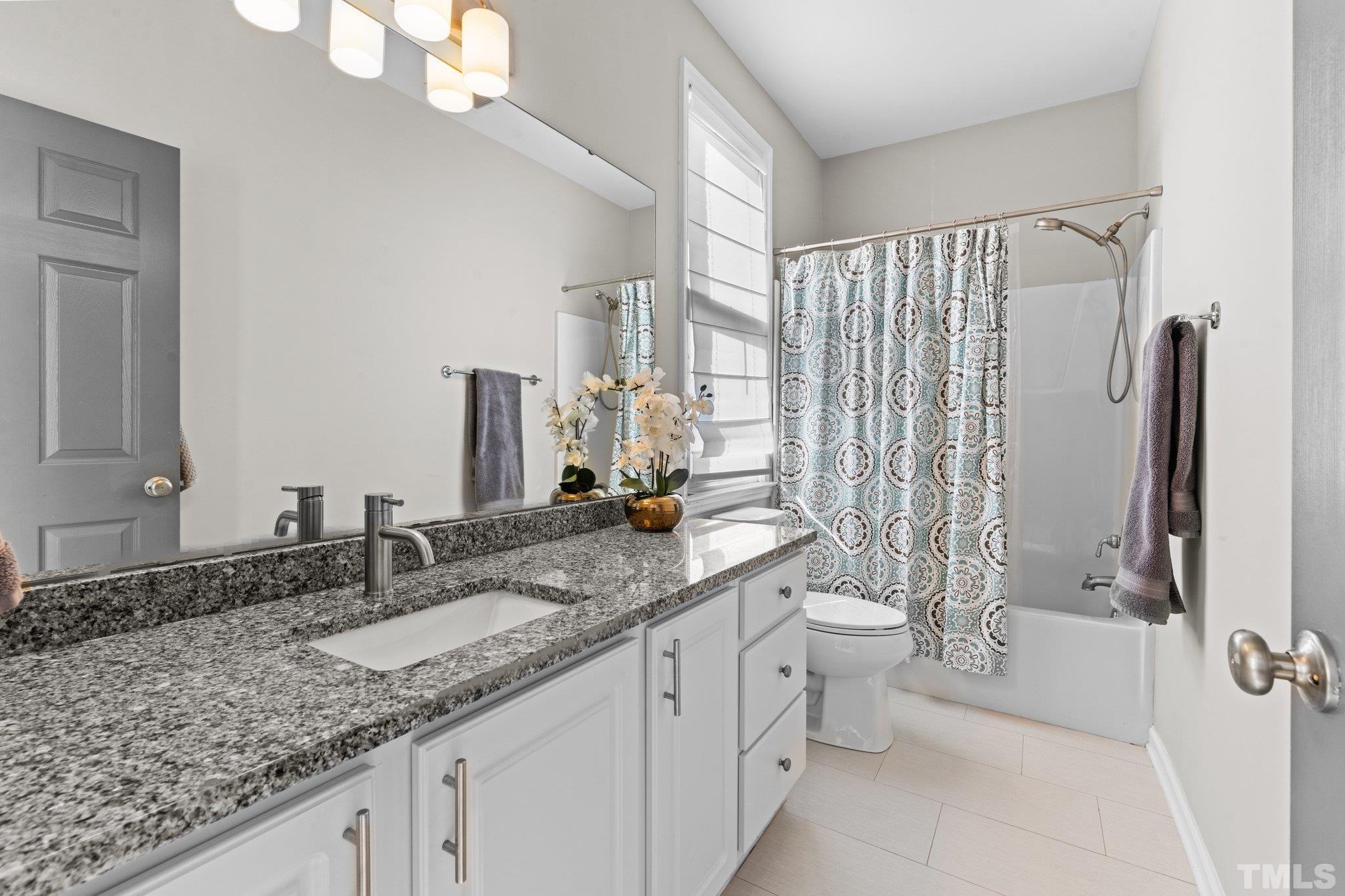 710 North Person Street, Unit 202 Raleigh, NC 27604 - Photo 22 of 33 a bathroom with a granite countertop sink a toilet a mirror and shower