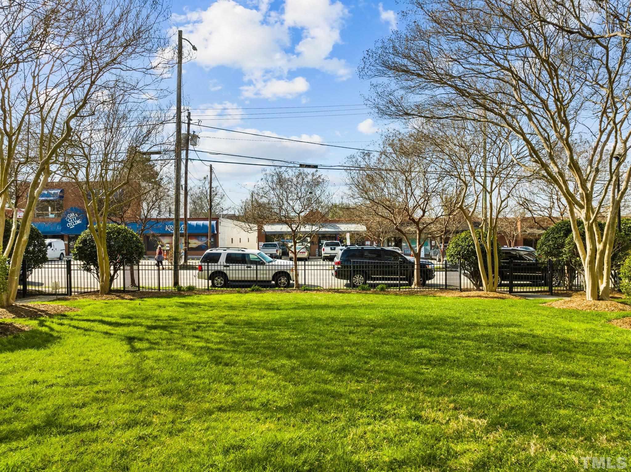 710 North Person Street, Unit 202 Raleigh, NC 27604 - Photo 29 of 33 a view of a park with large trees