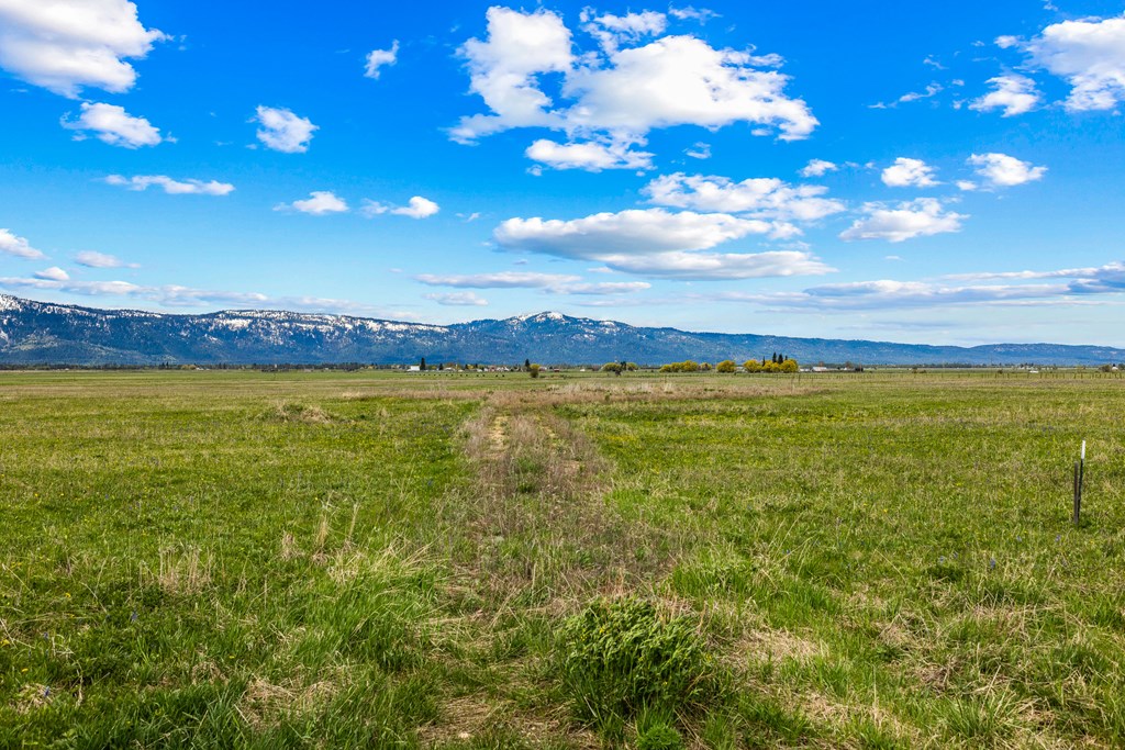 15 Ringo Lane, Unit 1 McCall, ID 83638 - Photo 11 of 36