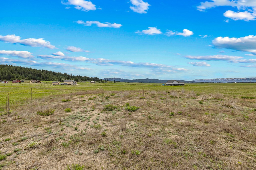 15 Ringo Lane, Unit 1 McCall, ID 83638 - Photo 7 of 36
